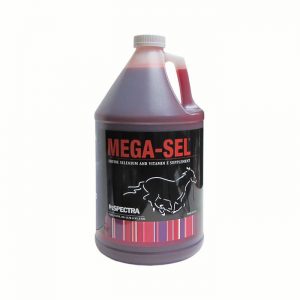 Mega-Sell 3.78 lt