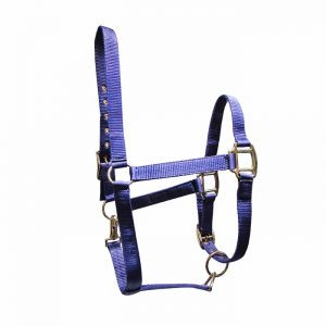 J├íquima Saxon brights halter purpura talla full